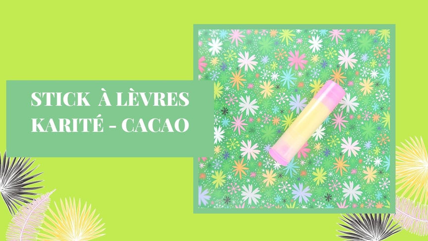 Stick à lèvres Karité Cacao